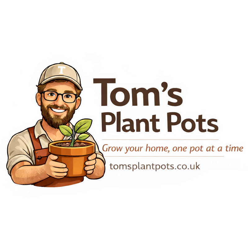 Welcome to our new store - Tom's Plant Pots!