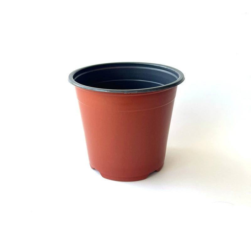 Houseplant Grow Pots (Inners)