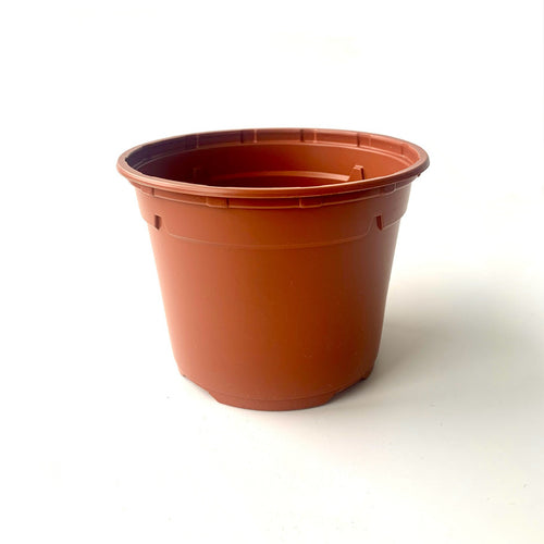 12cm grow pot terracotta