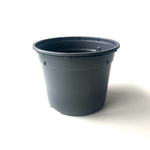12cm houseplant liner pot grey