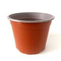 22.5cm grow pot in terracotta on white background