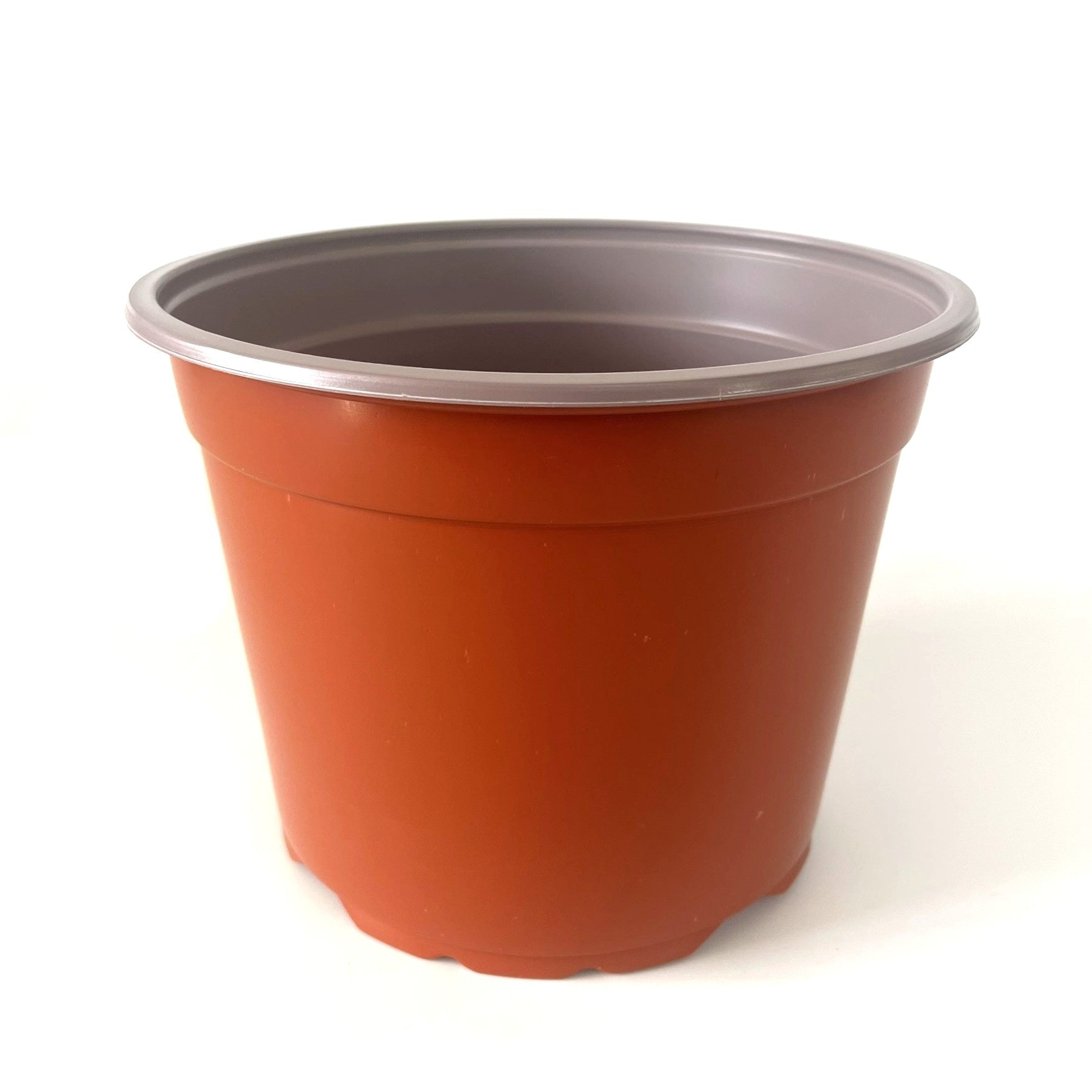 22.5cm grow pot in terracotta on white background