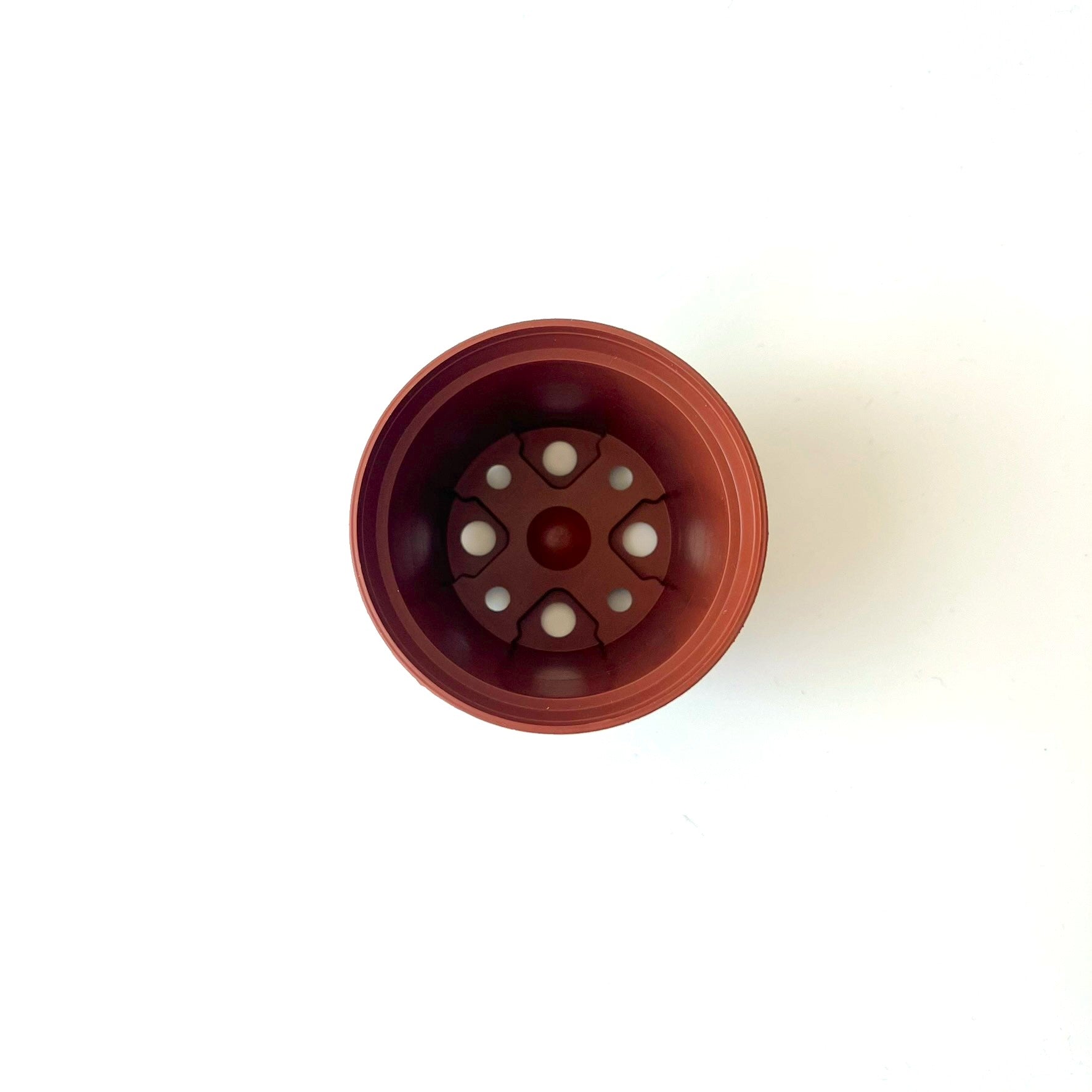 60mm terracotta houseplant grow pot on white background from above