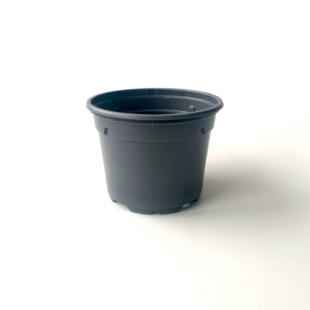 9cm grey nursery houseplant pot