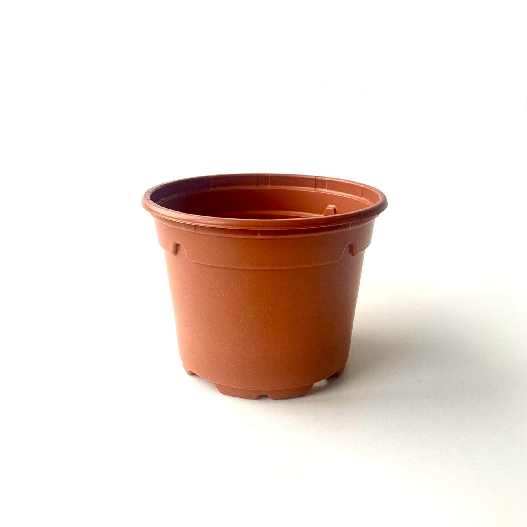 9cm terracotta grow pot
