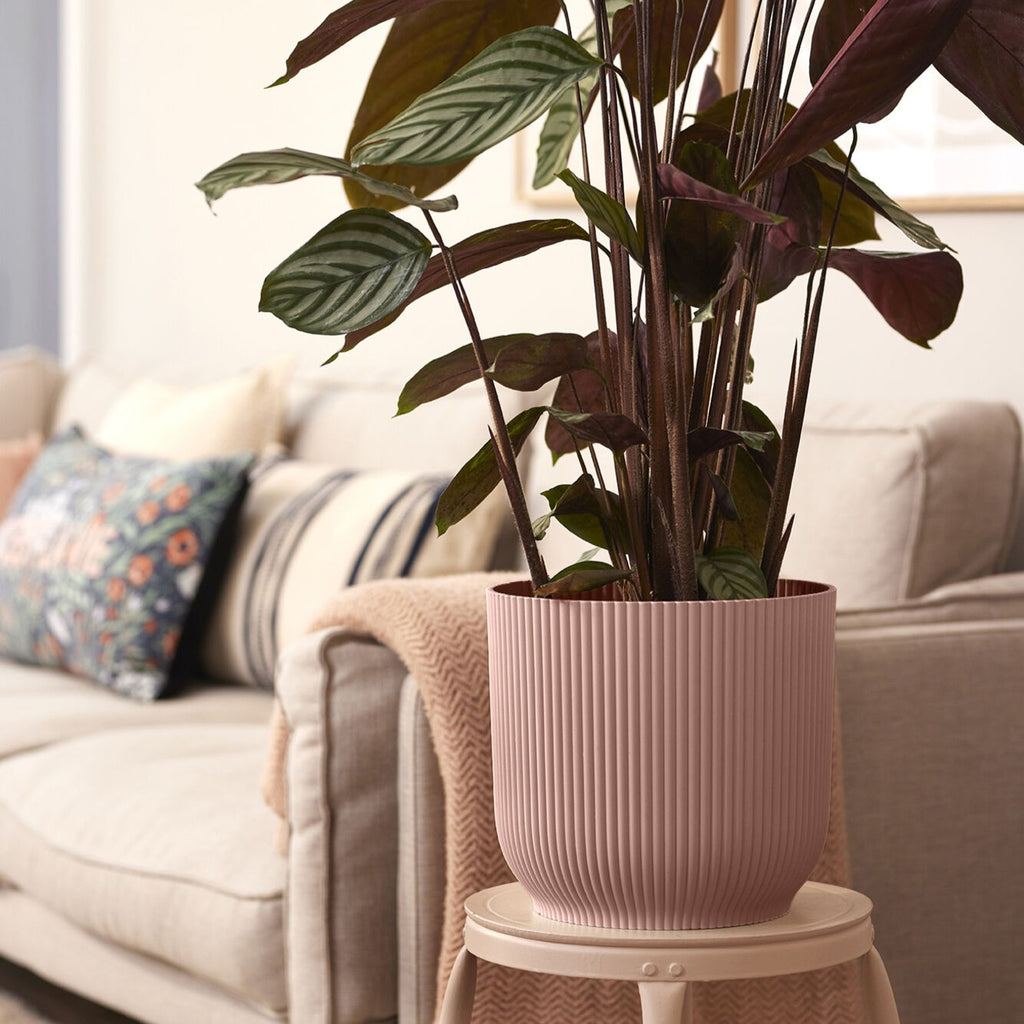 Elho large pink houseplant planter with a plant on a small white stool in a living room setting.