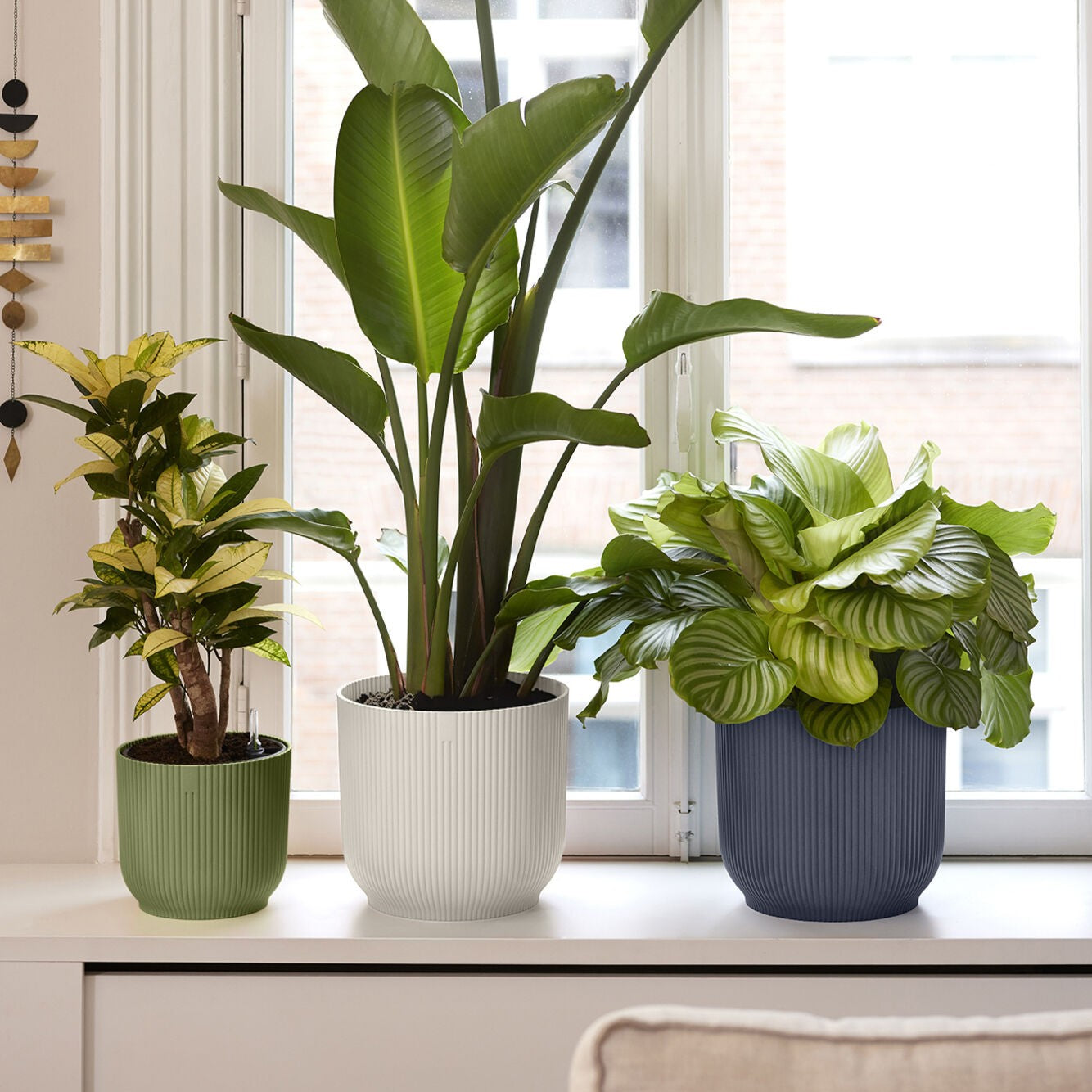 Three vibrant potted plants on a windowsill with a light background, all in Elho Vibes Round pots