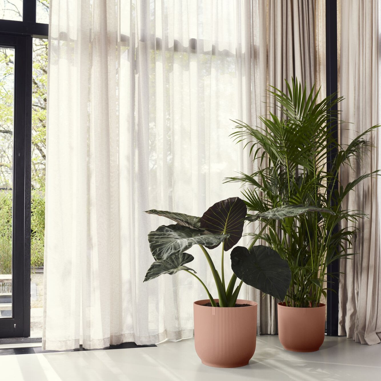 Two large potted plants in pink Elho pots in front of patio doors with light curtains in the background