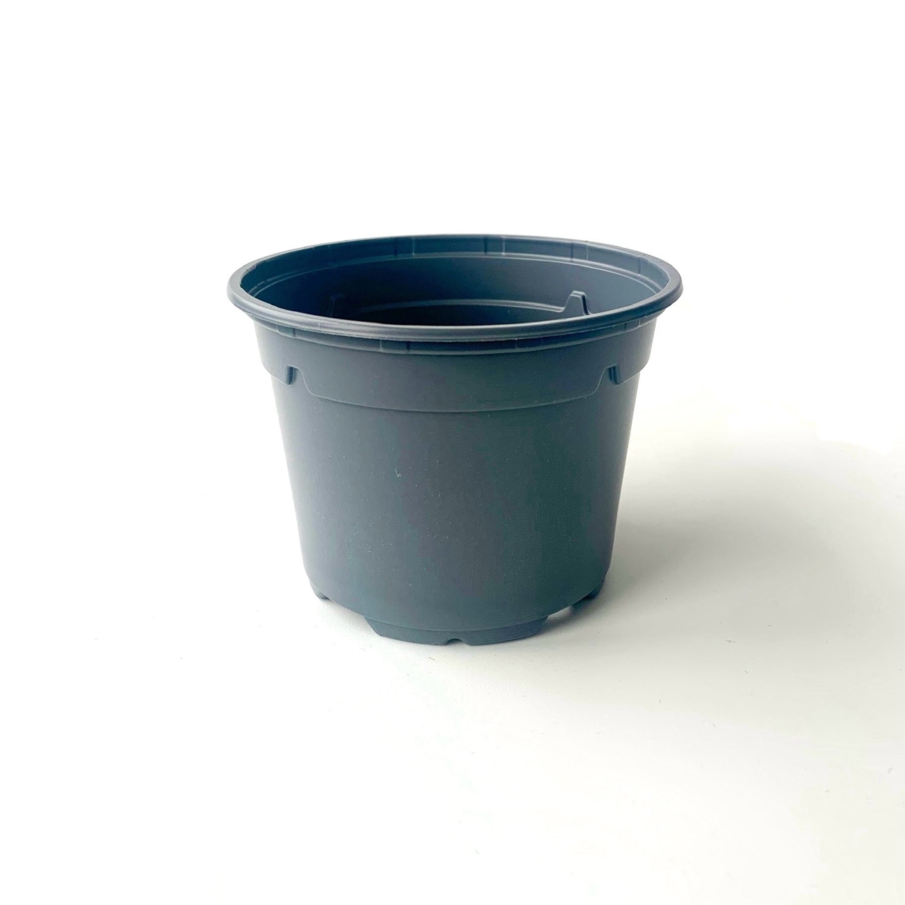 Grey houseplant grow pot from Tom's Plant Pots