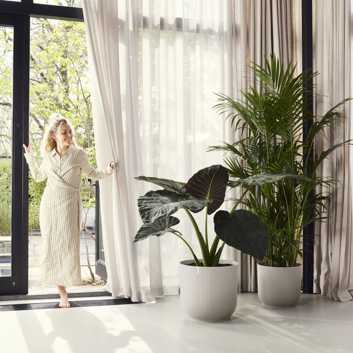 House plants in extra large pots in living room 