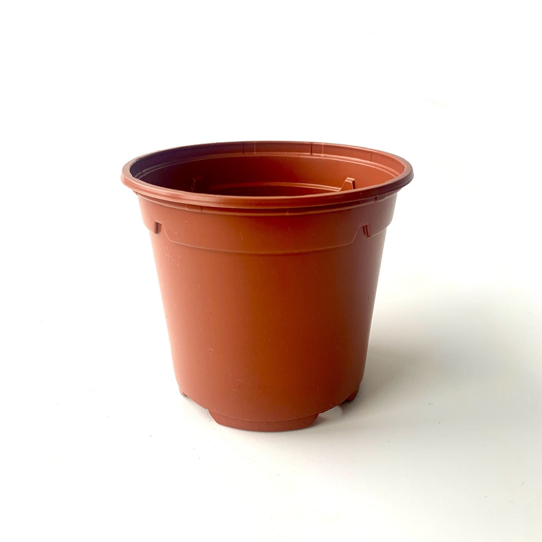 Tall terracotta nursery plant pot 10.5cm