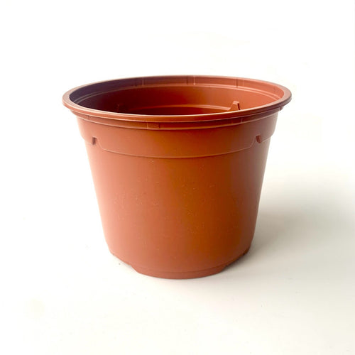 Terracotta 13cm houseplant pot liner