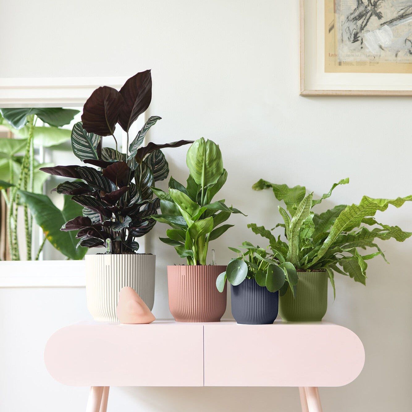 Three potted plants on a pink retro table with a white wall background